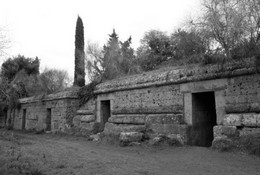 Etruscans