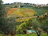 Shore excursions in La Spezia